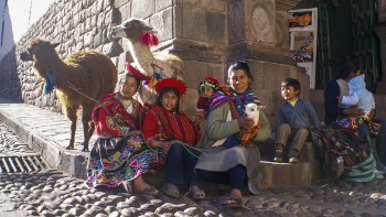 Frauen in Cusco mit Lamas